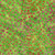 Riley Blake Fabrics Bold in Bloom Batiks Fran Morgan Lime Green Red Fruitty Pebbles, colorful batik fabric with lime green background and pink and red fruit pattern.