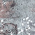 Windham Fabrics Spotted Graffiti Marcia Derse Snowball