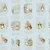 Riley Blake Fabrics Peter Rabbit and Benjamin Bunny Story Time Blue
