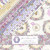 Lumin Fabrics White Owl Sweet Honey Bee Chad Barrett Layer Cake Ten Inch Squares