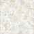 Timeless Treasures Fabrics Beach Dreams, Take Me Away Packed Sand Dollars On Beach Sand