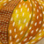 Hamilton Fabrics Rankin Spring Embroidered Exotic Fruits and Flowers
