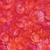 Lumin Fabrics Island Batik Hello Sunshine Poppies Main MultiPink Red Vibes
