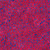 Lumin Fabrics Island Batik Paisley Parade Dot Swirl Mult Red Blue, fabric with a vibrant red background featuring an intricate blue swirling paisley and dot pattern.