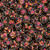 Quilting Treasures Fabrics Fluttering Gardens Dan Morris Black Flowers Butterflies Medallions