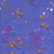 Andover Fabrics Sun Print 2026 Equanimity Tanzanite