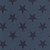 Andover Fabrics Fredericksburg Revisited by Jo Morton Star Spangled 108 inch wide quilt back Faded
