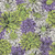 FreeSpirit Fabrics Kaffe Fasset Collective 2026 Bursting Stripes Contrast 108 Inch Wide Quilt Back