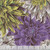 FreeSpirit Fabrics Kaffe Fasset Collective 2026 Bursting Stripes Contrast 108 Inch Wide Quilt Back