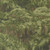 Moda Fabrics Wild Blue Yonder Moda Foliage Landscape Nature Forest Dark Green