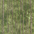 Moda Fabrics Wild Blue Yonder Moda Birch Grove Landscape and Nature Dark Green