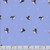 Dear Stella Fabrics Northern Skies Puffins Thistle
