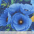 Timeless Treasures Fabrics Poppy Serenade Poppy Focal Navy
