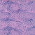 Timeless Treasures Fabrics Tonga Batiks Mermaid Etchings Orchid