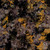 Timeless Treasures Fabrics Tonga Batiks Ember Ginkgo Leaves Ember