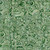 Timeless Treasures Fabrics Tonga Batiks Poinsettia Painted Paisley Pine Green