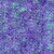 Timeless Treasures Fabrics Tonga Batiks Raven Halloween Dream Web Phantom Purple