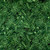 Timeless Treasures Fabrics Tonga Batiks Poinsettia Foliage Holly