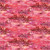 Studio E Fabrics Meow Mix Timna Tarr Thick Paint Red