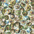 Quilting Treasures Fabrics Savage Kingdom Dan Morris Cream Dinosaur Circles