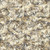 Quilting Treasures Fabrics Savage Kingdom Dan Morris Tan Cream Dinosaur Bones Fossils