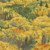 Moda Fabrics Wild Blue Yonder Moda Foliage Landscape Nature Forest Multi