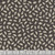 Dear Stella Fabrics Love At First Bite Ghouls Just Wanna Have Fun Raven