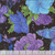 Timeless Treasures Fabrics Evening Glow Floral & Butterflies Metallic Black