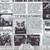 Timeless Treasures Fabrics Meow You Doing? Cat Newspaper Newsprint