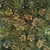Timeless Treasures Fabrics Tonga Batiks Ember Fall Leaves Spruce