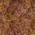 Timeless Treasures Fabrics 108 Inch Wide Tonga Batik Quilt Backing Jungle Leaves Harvest Green Brown