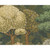 Hamilton Fabrics Hilltop Cypress Green Tree Scape Forest