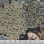 Free Spirit Fabrics Granada William Morris The Brook Indigo, fabric close-up showcasing a detailed floral pattern with a deer and trees in shades of blue, green, and brown on a dark background.