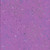 Benartex Fabrics Dragonfly Wonder  Ann Lauer Spatter Multi Medium Orchid