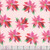 Benartex Fabrics Magical Season  Katie Daisy Painterly Poinsettia Light Pink