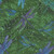 Benartex Fabrics Dragonfly Wonder  Ann Lauer Large Dragonfly Pine Multi
