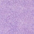 Moda Fabrics Delphinium Janet Clare Palette Seeds Mauve Lavender