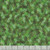 Blank Quilting Fabrics Enchanted Canopy Green Dragonfly Collage