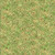 Blank Quilting Fabrics Enchanted Canopy Green Scroll with Rosebuds
