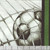 Blank Quilting Fabrics Goalbound World Cup Soccer Green Soccer Blocks