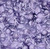 Lumin Fabrics Island Batik Crazy for Daisies Tossed Daisies Purple Foxglove