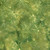 Lumin Fabrics Island Batik Lunar Glow Sunburst Stars Green Ivy