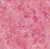 Lumin Fabrics Island Batik Crazy for Daisies Scrolling Vines Red Tangy