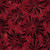 Lumin Fabrics Island Batik Freedom Rings Starburst Red Paprika