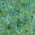 Lumin Fabrics Island Batik Lunar Glow Sunburst Stars Green Gecko