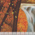 Riley Blake Fabrics United States National Parks Cuyahoga Valley Poster Panel 36 by 44