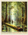 Riley Blake Fabrics United States National Parks Conagree Poster Panel 36 by 44, scenic nature scene with trees, water, and wildlife in a national park setting.