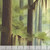 Riley Blake Fabrics United States National Parks Conagree Poster Panel 36 by 44