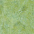 Moda Fabrics Mermaid Batiks Moda Lagoon Green, close-up of vibrant green batik fabric with white dotted circular pattern.