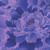 Henry Glass Fabrics Peony Paradise 118 Inch Wide Quilt Backing King Size Deep Purple, floral quilt backing with large peony flowers in shades of purple and pink on a deep purple background.